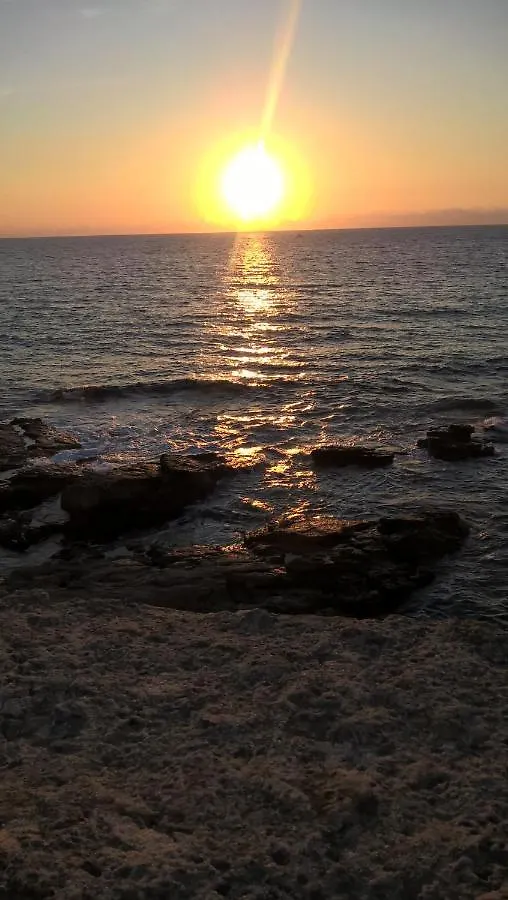 מלון אלגהרו Lungomare Barcellona Promenade